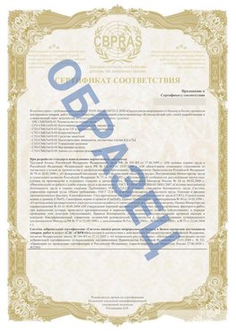 Образец Приложение к СТО 01.064.00220722.2-2020 Гатчина Сертификат СТО 01.064.00220722.2-2020 